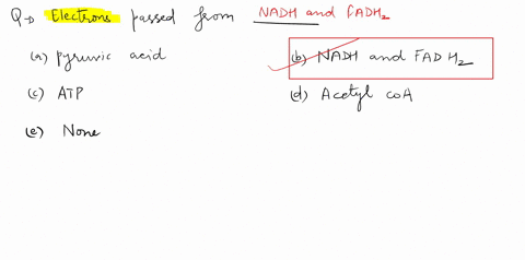 in-electron-transport-chain-electrons-from-pass-along-a-series-of-membrane-associated-electron-carriers-called-the-respiratory-chain-or-the-electron-transport-chain-a-pyruvic-acid-b-nadh-and-72336