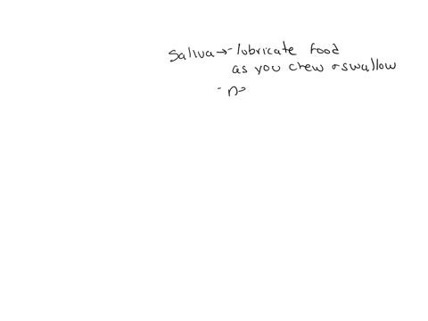which-of-the-following-is-present-in-saliva-question-10-options-nuclease-peptidase-secretin-amylase-gastrin