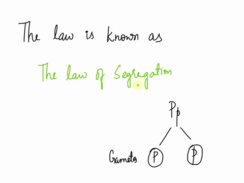this-law-states-that-allele-pairs-separate-during-the-formation-of-gametes-this-means-that-traits-are-transmitted-to-offspring-independently-of-one-another-this-law-is-the-group-of-answer-ch-17633