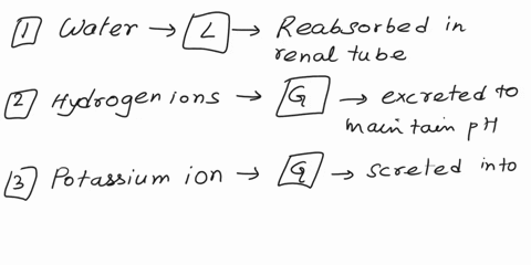3assuming-normal-conditionsindicate-whether-the-following-substances-would-be-in-greater-concentration-in-the-urine-than-in-the-glomerular-filtrate-gin-lesser-concentration-in-the-urine-than-74522