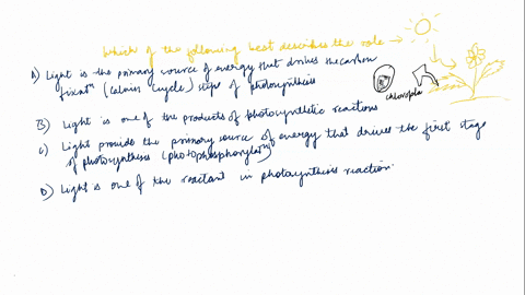 which-answer-best-describes-the-role-of-light-in-photosynthesisa-light-is-the-primary-source-of-energy-that-drives-the-carbon-fixation-calvin-cycle-steps-of-photosynthesisb-light-is-one-of-t-04178