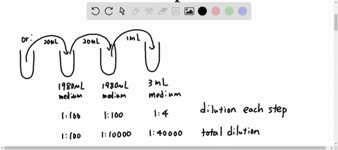 you-have-an-original-concentration-of-12-x-10-org-ml-and-you-want-to-obtain-final-concentration-of-3-102-orglml-draw-dilution-scheme-with-the-following-inforation-on-your-diagram-the-sample-62127