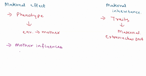 maternal-effect-and-maternal-inheritance-are-significant-in-early-development-traits-discuss-these-two-types-of-maternal-influences-and-how-they-can-affect-the-fetus-35055
