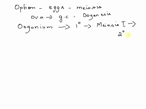 somatic-cells-in-humans-have-46-chromosomes-through-melsis-female-oogonlum-glves-rlse-t0-on-malure-ge2-vath-23-chornosotns-iour-maturt-with-23-chromosones-onamalune-klth-6-chomno-0mie-tout-m-36043