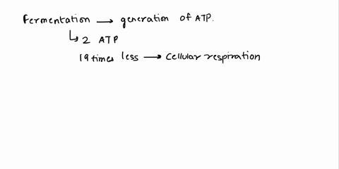 why-is-fermentation-so-much-less-efficient-than-cellular-respiration-your-answer-should-include-the-following-terms-aerobic-anaerobic-atp-oxygen-glucose-electron-transport-chain-68241