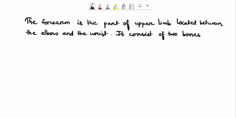 the-part-of-the-upper-limb-between-the-elbow-and-the-wrist-is-called-thea-arm-c-hand-e-lower-armb-forearm-d-inferior-arm-20918