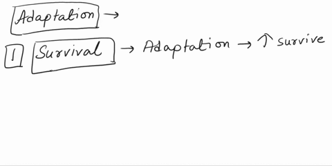 why-do-you-adapt-to-your-environment-72423