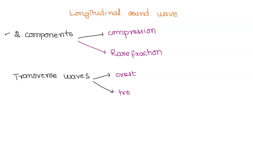 SOLVED: 'Which one is an example of a transverse wave 1 1 Which is an ...