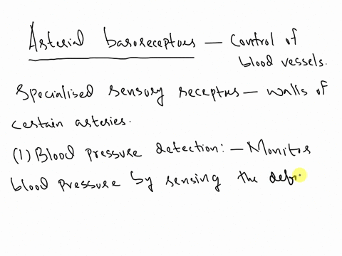 explain-how-arterial-baroreceptors-are-involved-in-the-control-of-blood-vessels-62017