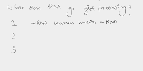 where-does-rna-go-after-processing-78236