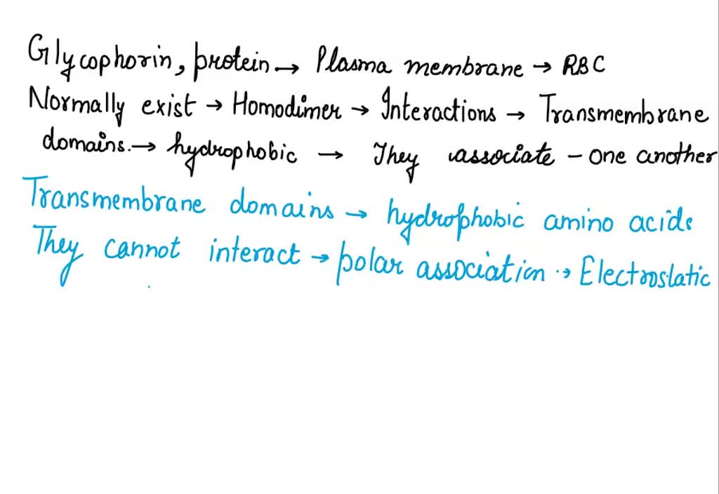 Which Of The Following Is Not Normally Found In Plasma SOLVED: Glycophorin, a protein in the plasma membrane of the red blood