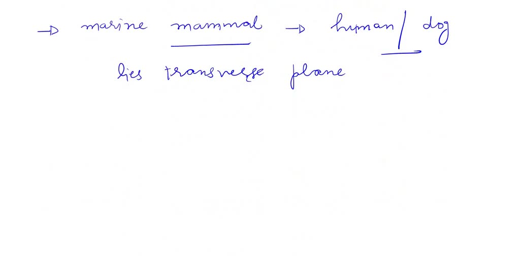SOLVED: Body Cavities and Membranes Posterior body cavity Anterior body ...