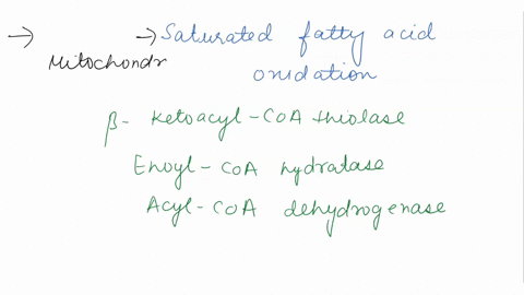 which-of-these-enzymes-is-required-for-the-oxidation-of-unsaturated-fatty-acids-but-not-required-for-saturated-fatty-acids-oxidation-choose-best-answer-aenoyl-coa-hydratase-b-enoyl-coa-isome-52008
