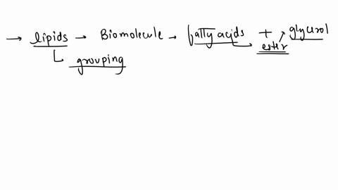 what-is-the-basis-of-the-grouping-of-molecules-as-lipids-37596