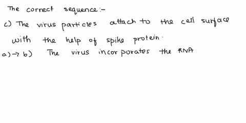 each-of-the-following-statements-describes-a-step-in-the-replication-of-sars-cov-2-which-of-the-following-lists-the-steps-in-the-order-they-occur-in-the-human-body-a-the-virus-releases-its-r-09676