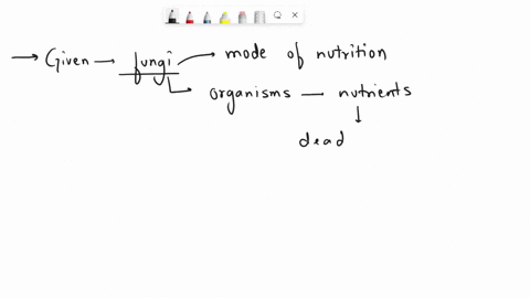 what-is-the-mode-of-nutrition-of-kingdom-fungi-31134