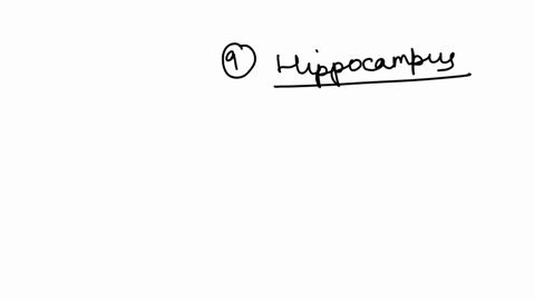01-pts-the-qquad-is-the-main-switch-station-for-memory-if-the-right-and-left-areas-are-destroyed-the-result-is-widespread-amnesia-hippocampus-werniches-ares-thalamus-hypothalamus-question-10-01-pts-th