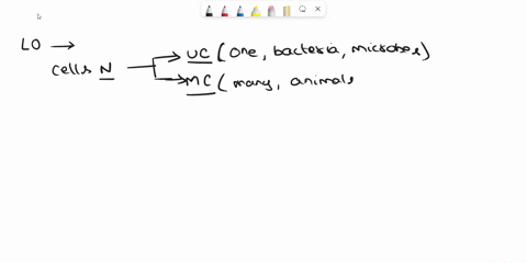 which-of-the-following-kingdoms-contains-only-multicellular-autotrophs-a-protista-b-animalia-c-fungi-d-plantae-03083