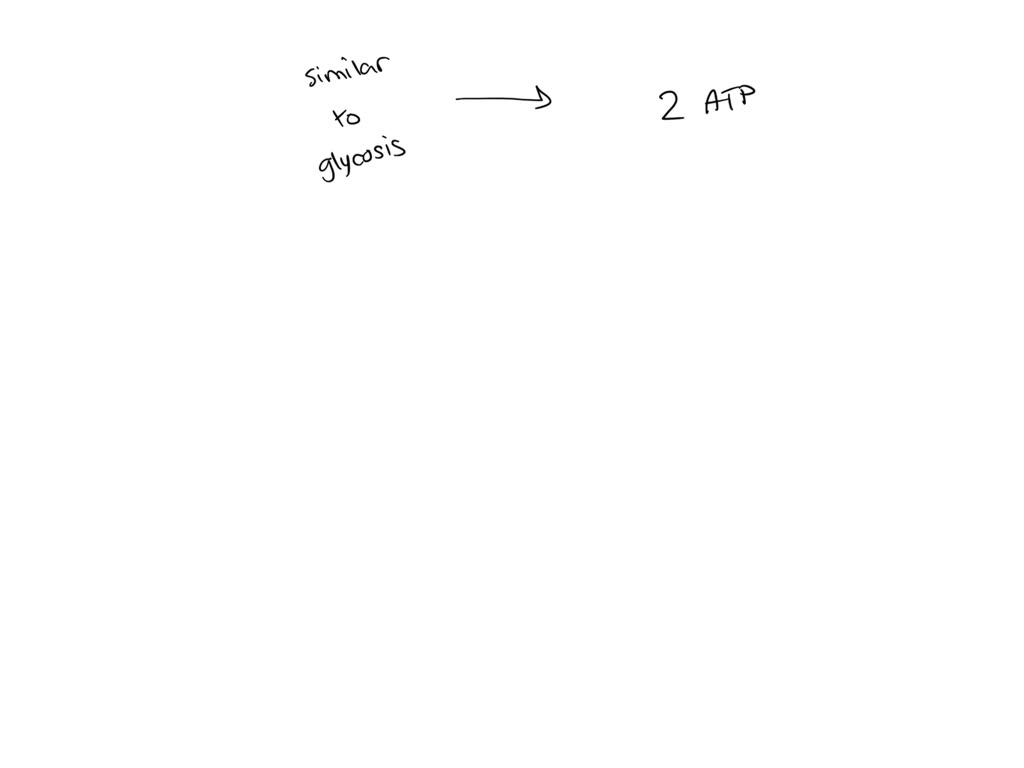 SOLVED What Is The Purpose Of Fermentation And How Is Energy Generated SOLVED What Is The Purpose Of Fermentation And How Is Energy Generated