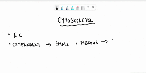 which-of-the-following-is-not-a-function-of-the-cytoskeleton-select-one-coordinates-cell-division-b-facilitates-movement-protects-against-heat-shock-d-helps-maintain-shape-directs-transport-02838