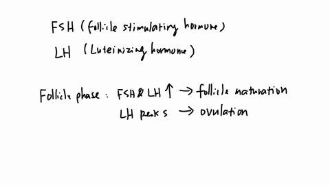 if-fsh-and-lh-levels-are-high-you-would-expect-a-typical-female-to-be-owvlating-to-be-menstruating-to-be-in-the-secretory-phase-of-the-uterine-cycle-to-have-high-progesterone-levels