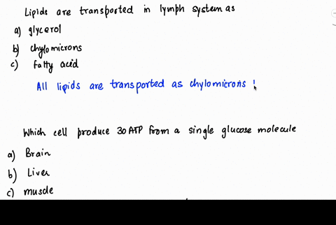lipids-are-transported-in-they-lymph-system-as-a-glycerol-molecules-b-chylomicrons-c-fatty-acid-molecules-which-type-of-cell-will-produce-30-atp-by-oxidizing-a-single-glucose-molecule-a-brai-27006