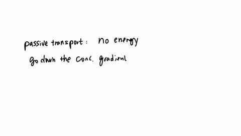 what-transport-no-energy-required-what-transport-energy-primarily-atp-required