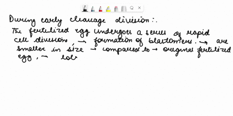 whlch-of-the-following-are-features-of-early-cleavage-divisions-most-of-the-embryos-multiple-answers-there-is-no-dna-replication-2-cells-grow-fast-and-genes-are-actively-expressed-3the-cells-19545