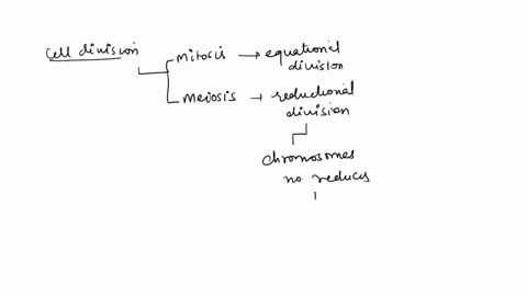the-haploid-number-for-the-mouse-is-10-how-many-chromosomes-will-you-find-in-a-mouses-oogonium-00824