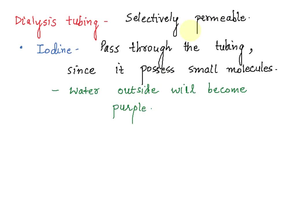 SOLVED In Lab Exercise 3, you will set up cells using dialysis tubing