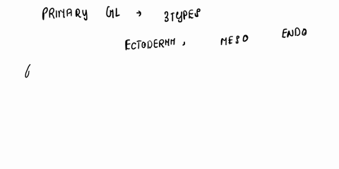 category-determine-the-primary-germ-layer-from-which-each-description-on-top-arose-then-click-and-drag-that-label-into-the-appropriate-the-femur-the-lumenal-layer-of-the-digestive-tract-spin-13925