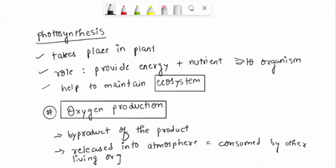 when-plants-undergo-photosynthesis-they-take-in-water-and-other-nutrients-from-the-soil-and-carbon-dioxide-from-the-air-to-produce-sugar-and-oxygen-how-do-photosynthesis-plants-typically-the-20828