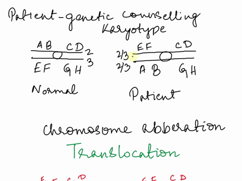 1-4-pts-a-patient-who-sought-genetic-counseling-is-found-to-be-heterozygous-for-a-chromosomal-rearrangement-between-the-znd-and-3rd-chromosomes-her-chromosomes-compared-to-those-in-a-normal-33438