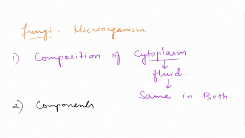 which-structure-of-fungi-is-different-from-plants-a-composition-of-cytoplasm-b-composition-of-cell-w-13423