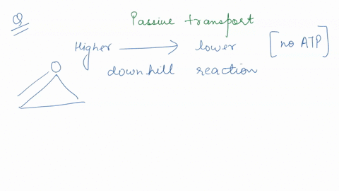 how-does-passive-transport-use-a-concentration-gradient-to-move-molecules-across-the-cell-membrane-can-all-molecules-move-across-the-membrane-in-this-way-if-not-which-kinds-of-molecules-can-19104