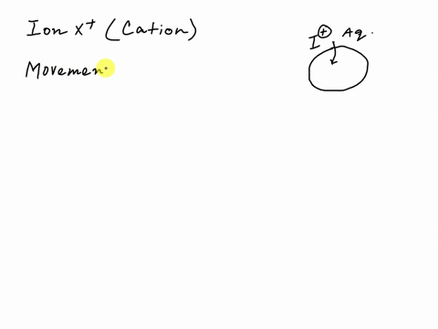ion-x-is-sitting-outside-of-a-cell-which-of-the-following-scenarios-will-cause-ion-x-to-move-into-a-cell-a-high-concentration-of-a-negative-ions-inside-the-cell-and-low-concentration-of-x-in-52948