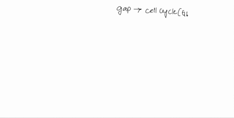 the-first-gap-in-the-cell-cycle-g-1-corresponds-to-a-the-phase-between-dna-replication-and-the-m-phase-b-normal-growth-and-functioning-cthe-beginning-of-mitosis-d-the-phase-in-which-dna-is-b-59418