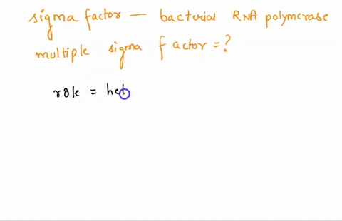 the-sigma-factor-is-a-subunit-of-bacterial-rna-polymerase-that-allows-the-enzyme-to-bind-to-the-promoter-what-would-be-the-advantage-of-having-multiple-sigma-factors-that-each-could-be-produ-90172