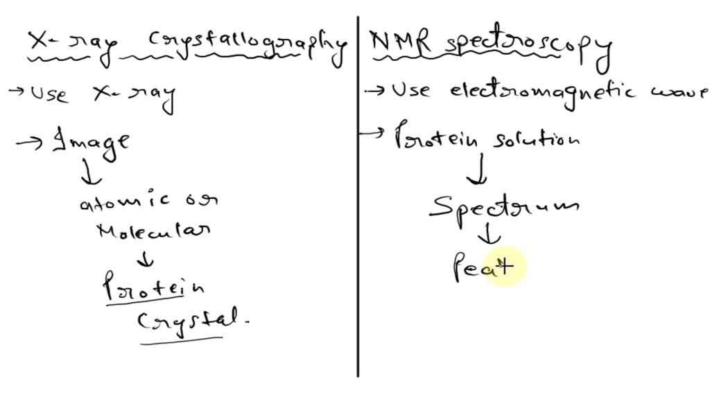 SOLVED 2. List major differences between the protein structure determination techniques using X