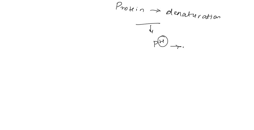 SOLVED 11. What causes protein denaturation? Enumerate and explain the