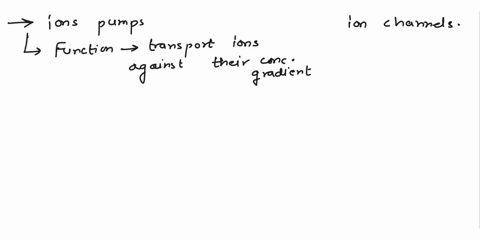 explain-the-function-of-ions-pumps-and-how-they-are-different-that-ion-channels-in-terms-of-the-direction-they-move-ions-relative-to-the-concentration-gradient-3-4-sentences-should-do-it-des-06567