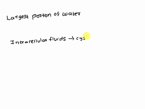 the-largest-portion-of-total-body-water-is-found-in-which-tissue-a-intracellular-fluid-b-extracellul-15305