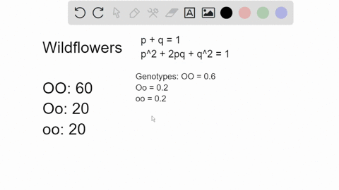 you-are-studying-a-population-of-100-wildflowers-you-know-that-in-this-species-of-flower-the-allele-for-orange-flowers-o-is-dominant-over-yellow-o-within-the-population-you-count-80-orange-f-61363