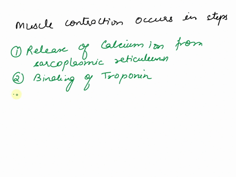 the-following-is-a-list-of-the-events-that-occur-during-a-muscle-contraction-what-is-the-correct-sequence-of-these-events-1-myosin-cross-bridges-bind-to-the-actin-2-the-free-myosin-head-spli-25657