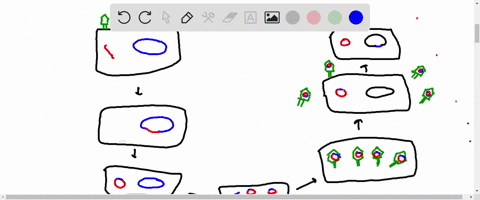 specialized-transduction-occurs-when-a-lysogenic-phage-brings-a-specific-genes-from-one-host-chromosome-a-new-host-chromosome-one-phage-a-new-phage-one-host-chromosome-new-phage-one-phage-ne-97738