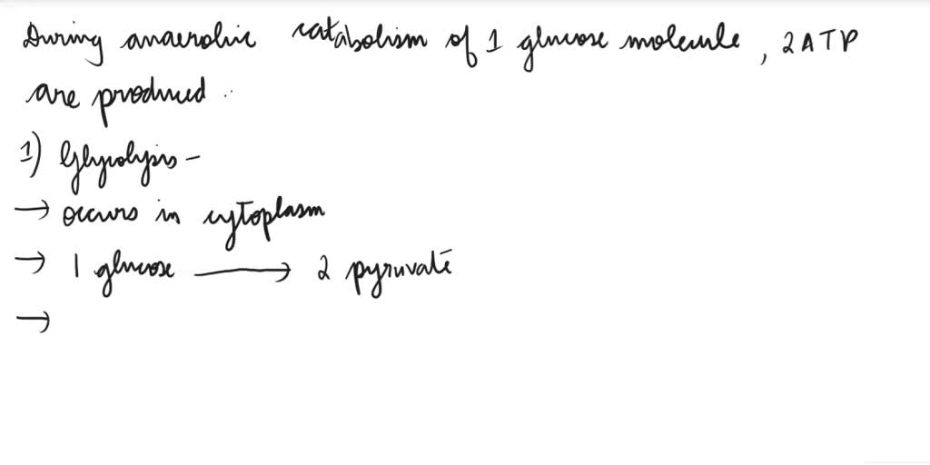 Video Solution: If The Muscle Were To Use That Glucose Residue In 