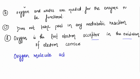what-is-oxygen-used-for-in-cellular-respiration-a-oxygen-is-used-to-transform-atp-into-nadh-b-oxygen-and-water-are-needed-for-the-enzymes-to-be-functional-c-oxygen-does-not-take-part-in-any-08375
