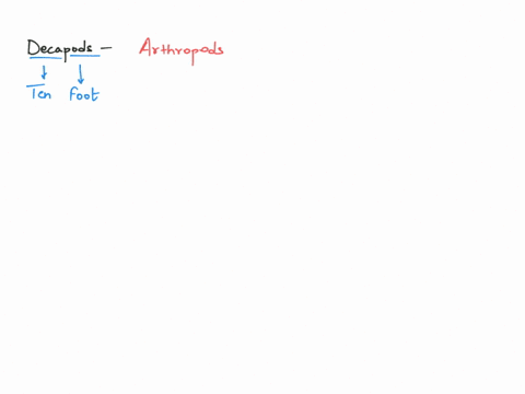 examples-of-decapods-are-a-centipedes-and-millipedes-b-barnacles-c-ticks-and-mites-d-lobsters-and-cr-93837
