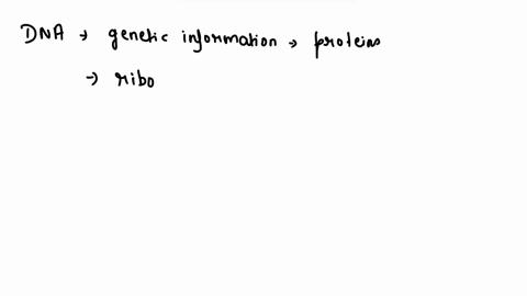 which-process-occurs-in-the-nucleus-to-create-a-strand-of-mrna-79824