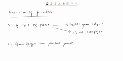 what-is-the-ploidy-of-the-following-structures-gametophyte-seed-spore-sporophyte-a-1-n-1-n-2-n-2-n-b-31782